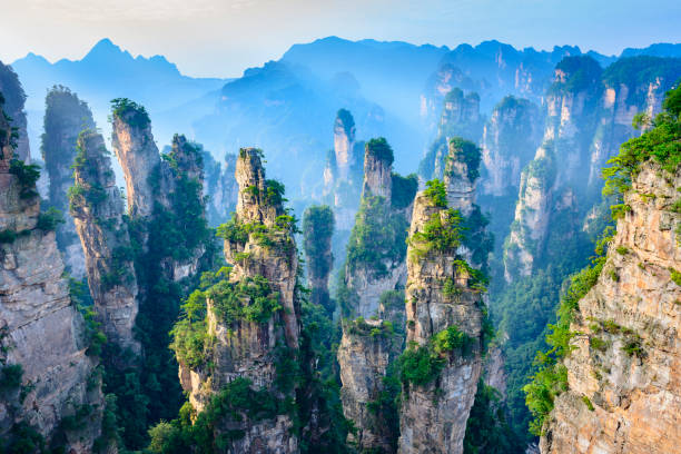 Avatar China Group Tour ex BLR
