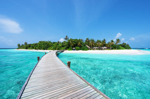 Maldives Tour Packages