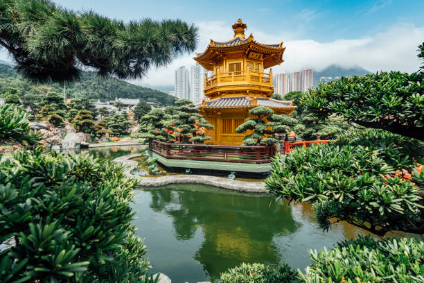 Hong Kong Tour Packages