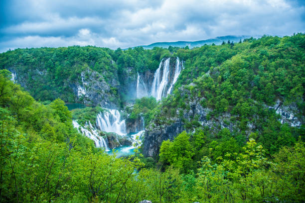 Georgia Tour Packages
