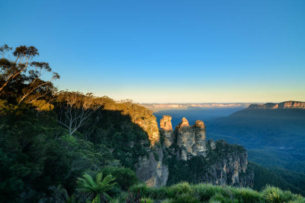 New Zealand Wonders
