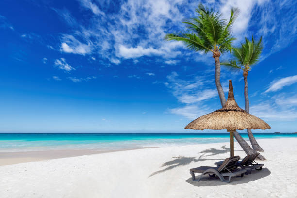 Mauritius Group Tour