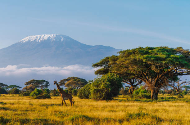Kenya Tour Packages