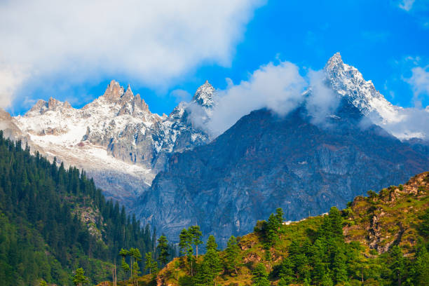 Manali Tour Packages