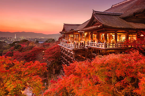 Japan Tour Packages