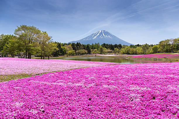 Japan Alpine Route Group Tour