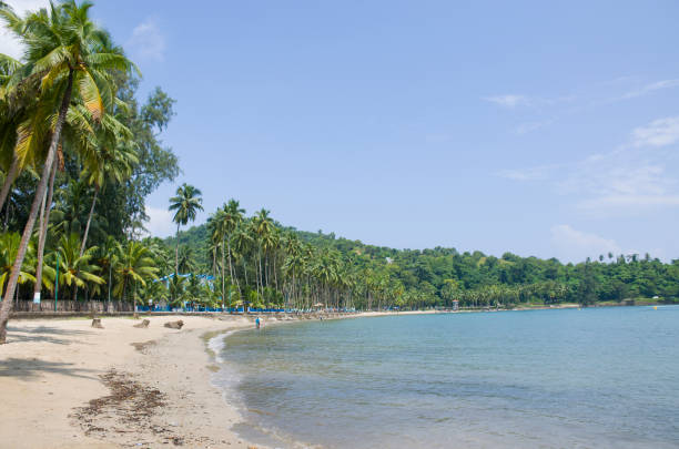 Andaman Island Group Tour