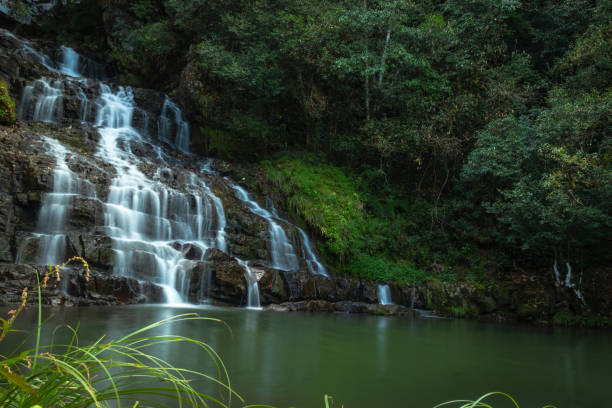 Meghalaya North East Wilderness