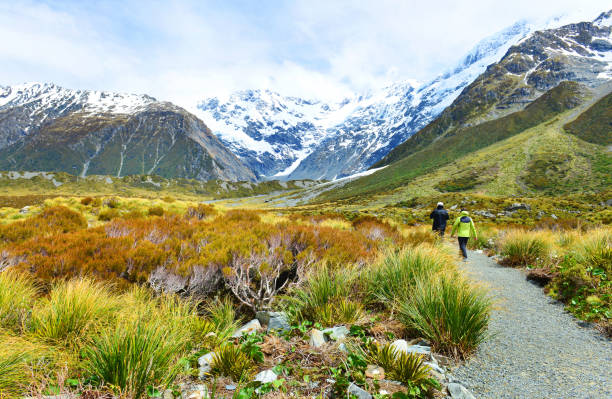 New Zealand Drive Adventure