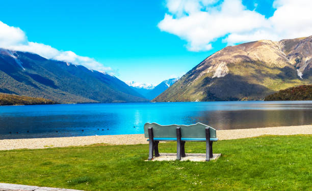 New Zealand Drive Adventure