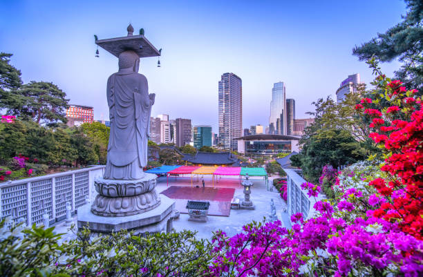 South Korea Group Tour