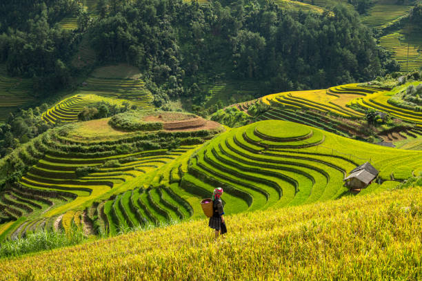 Vietnam Group Tour