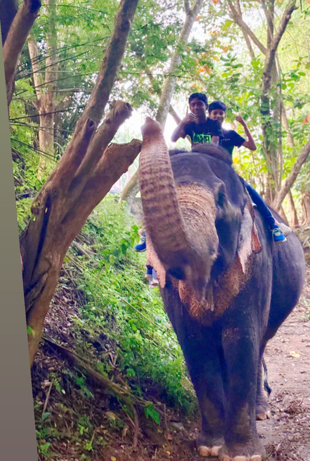 Srilanka